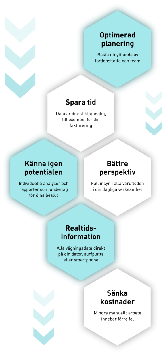 pfreundt_wabengrafik_webportal_2_wabengrafik_hoch_swe.png 
