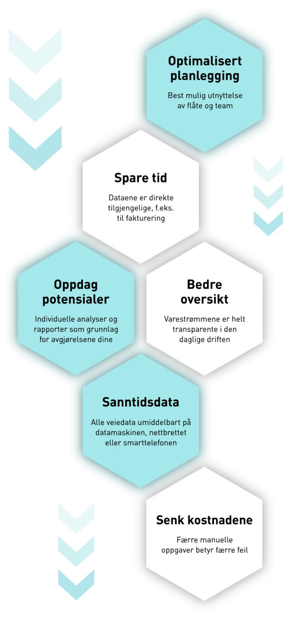 pfreundt_wabengrafik_webportal_2_wabengrafik_hoch_nor.png 