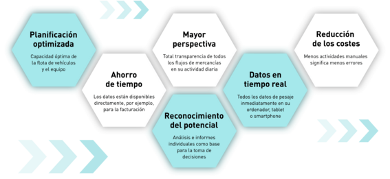 pfreundt_wabengrafik_webportal_2_wabengrafik_quer_esp.png 