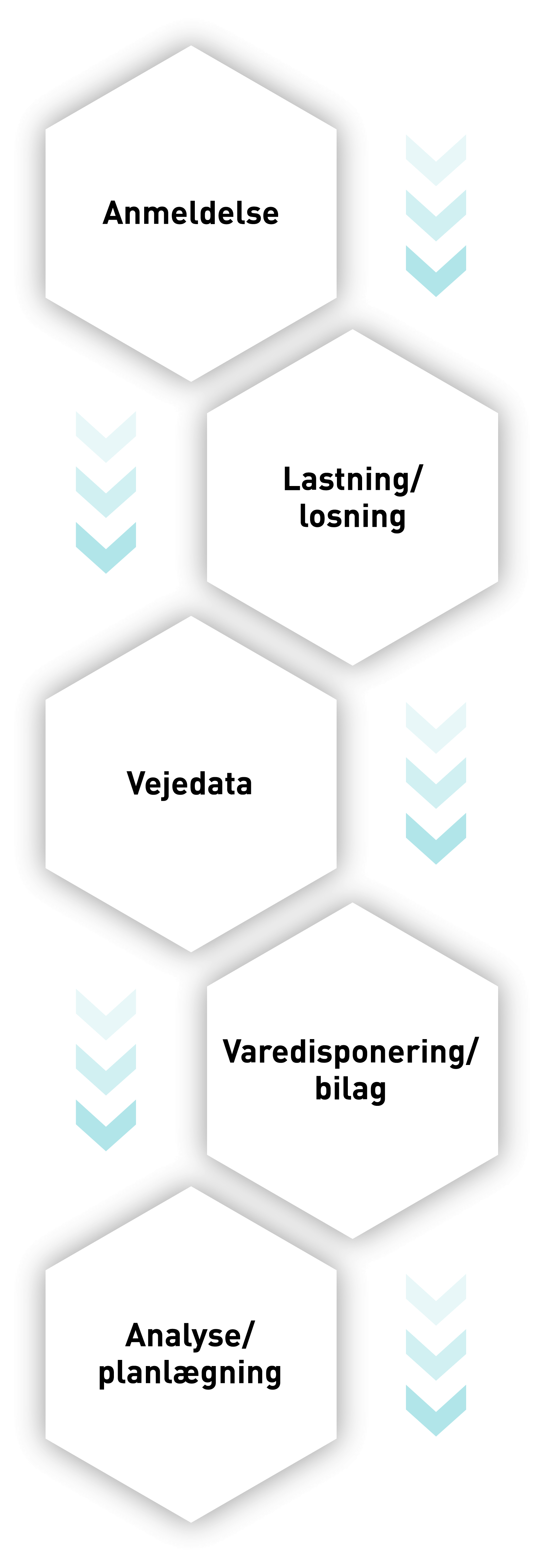 pfreundt_wabengrafik_prozesskette_systemloesungen_2_wabengrafik_hoch_dnk.png 