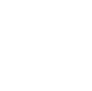 Identify potential with the PFREUNDT Web Portal